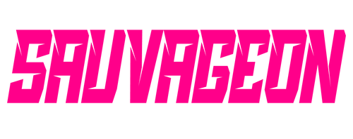 SAUVAGEON 13 STORE